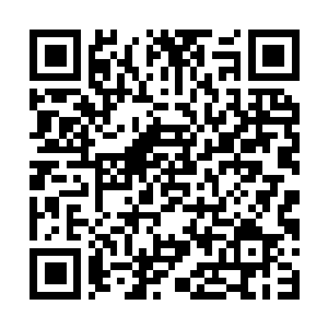 Link naar je actie QRCode - Fondswerving