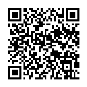 Link naar je actie QRCode - Fondswerving