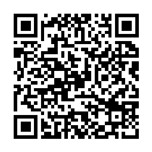 Link naar je actie QRCode - Fondswerving