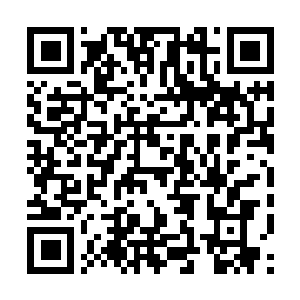 Link naar je actie QRCode - Fondswerving
