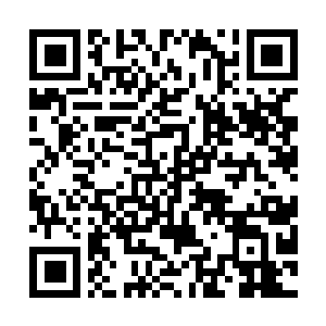 Link naar je actie QRCode - Fondswerving
