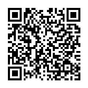 Link naar je actie QRCode - Fondswerving