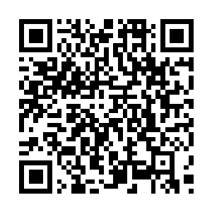 Link naar je actie QRCode - Fondswerving