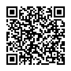 Link naar je actie QRCode - Fondswerving