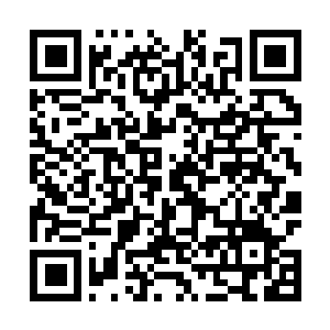 Link naar je actie QRCode - Fondswerving