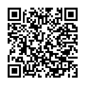 Link naar je actie QRCode - Fondswerving
