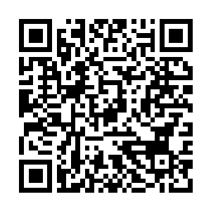 Link naar je actie QRCode - Fondswerving