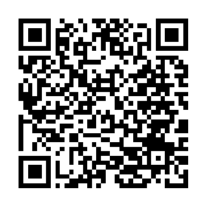 Link naar je actie QRCode - Fondswerving