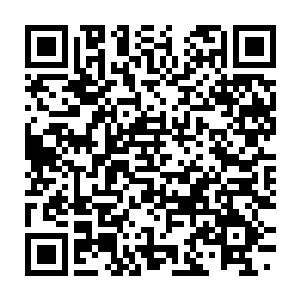 Link naar je actie QRCode - Fondswerving