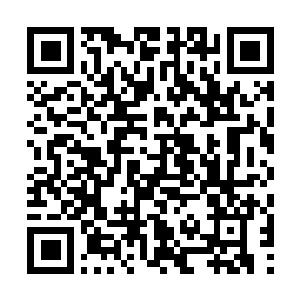 Link naar je actie QRCode - Fondswerving