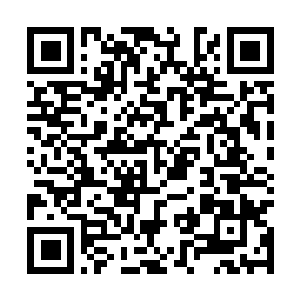 Link naar je actie QRCode - Fondswerving