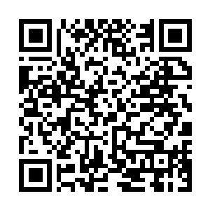 Link naar je actie QRCode - Fondswerving