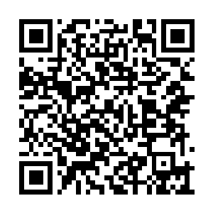 Link naar je actie QRCode - Fondswerving