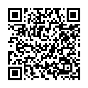Link naar je actie QRCode - Fondswerving