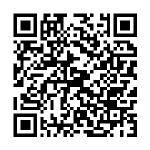 Link naar je actie QRCode - Fondswerving