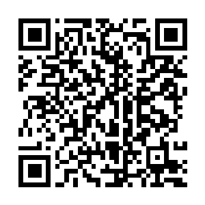 Link naar je actie QRCode - Fondswerving