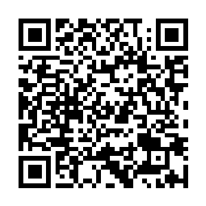 Link naar je actie QRCode - Fondswerving