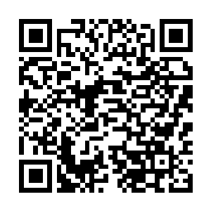 Link naar je actie QRCode - Fondswerving