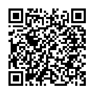 Link naar je actie QRCode - Fondswerving