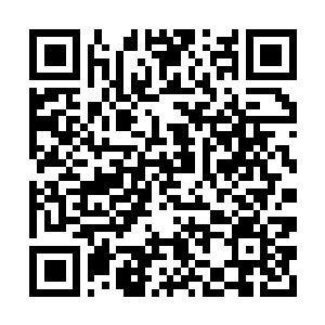 Link naar je actie QRCode - Fondswerving