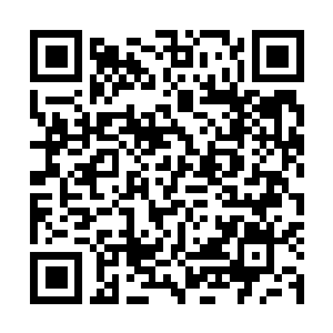 Link naar je actie QRCode - Fondswerving