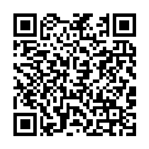 Link naar je actie QRCode - Fondswerving