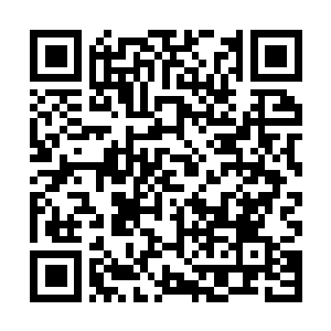 Link naar je actie QRCode - Fondswerving