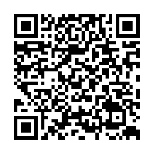 Link naar je actie QRCode - Fondswerving
