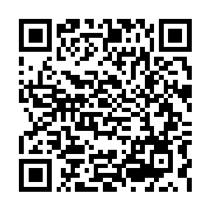 Link naar je actie QRCode - Fondswerving
