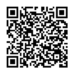 Link naar je actie QRCode - Fondswerving