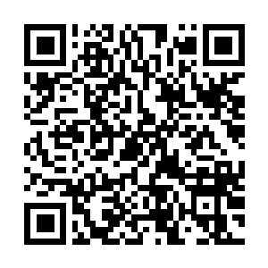 Link naar je actie QRCode - Fondswerving