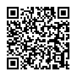 Link naar je actie QRCode - Fondswerving
