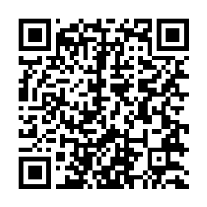 Link naar je actie QRCode - Fondswerving