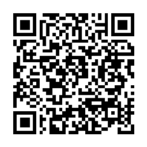 Link naar je actie QRCode - Fondswerving