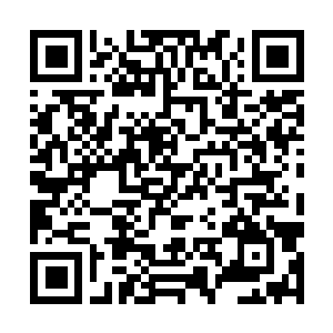 Link naar je actie QRCode - Fondswerving