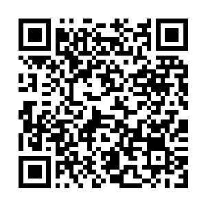 Link naar je actie QRCode - Fondswerving