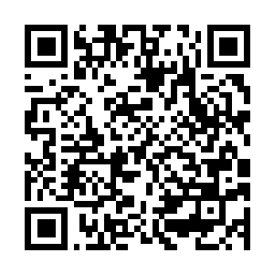 Link naar je actie QRCode - Fondswerving