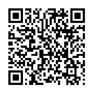 Link naar je actie QRCode - Fondswerving