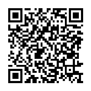 Link naar je actie QRCode - Fondswerving