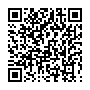 Link naar je actie QRCode - Fondswerving
