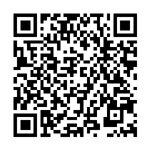Link naar je actie QRCode - Fondswerving