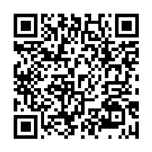 Link naar je actie QRCode - Fondswerving