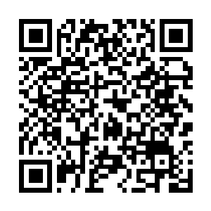Link naar je actie QRCode - Fondswerving