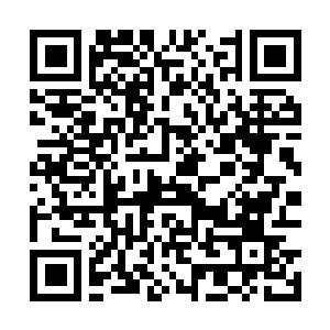 Link naar je actie QRCode - Fondswerving
