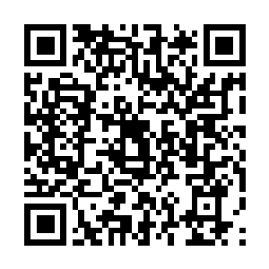 Link naar je actie QRCode - Fondswerving