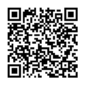 Link naar je actie QRCode - Fondswerving