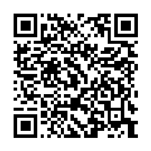 Link naar je actie QRCode - Fondswerving