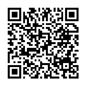 Link naar je actie QRCode - Fondswerving