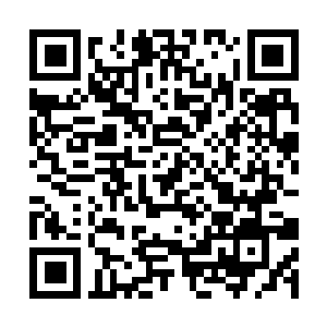 Link naar je actie QRCode - Fondswerving