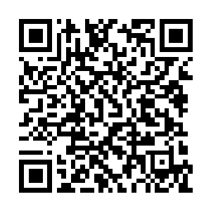 Link naar je actie QRCode - Fondswerving